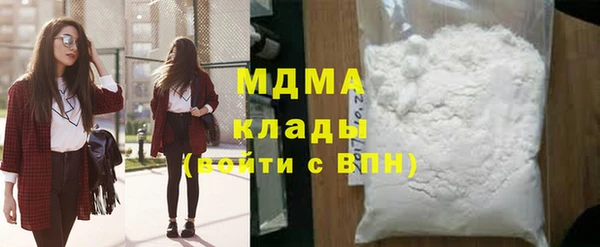 дживик Бородино