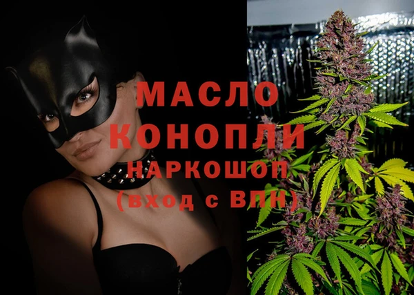 дживик Бородино