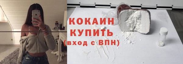 дживик Бородино