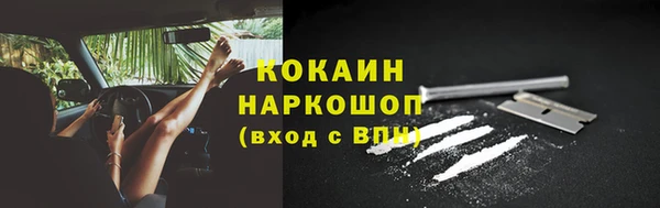 дживик Бородино