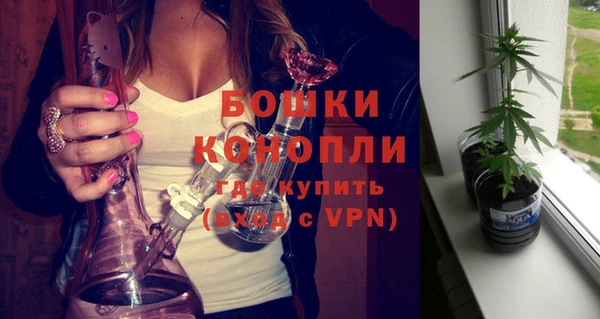 дживик Бородино