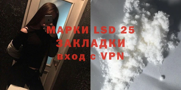 дживик Бородино