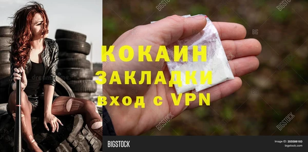 дживик Бородино
